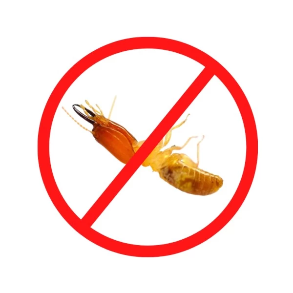 Termite Control