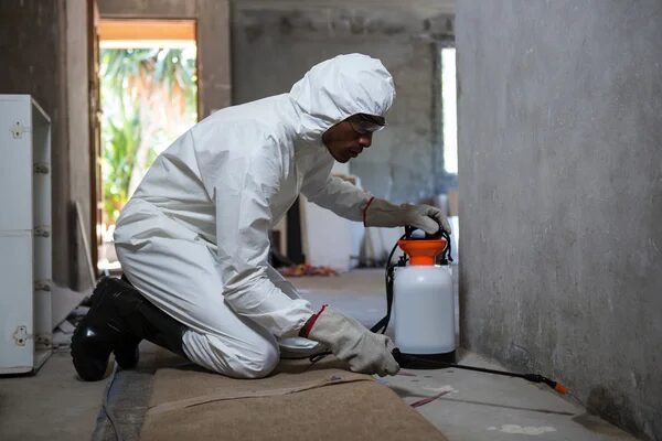 Building Cleaning
